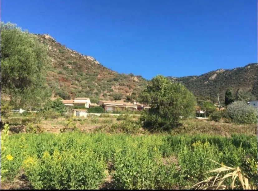 Apartment Au Petit Bonheur Vue Mer, Parking, 400M Plage Le Lavandou France